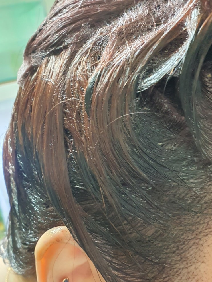  ( 셀프염색 ) 탈색모 톤다운 시키기 / 초코브라운 15분만 도포했을 때와 보름후 헤어컬러 변화