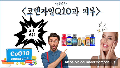 [영양제]코엔자임Q10은 피부(주름, 광노화, 수분관리)에 도움이 될까?(feat.논문 리뷰)