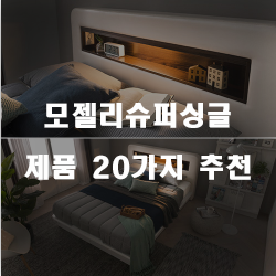  모젤리슈퍼싱글