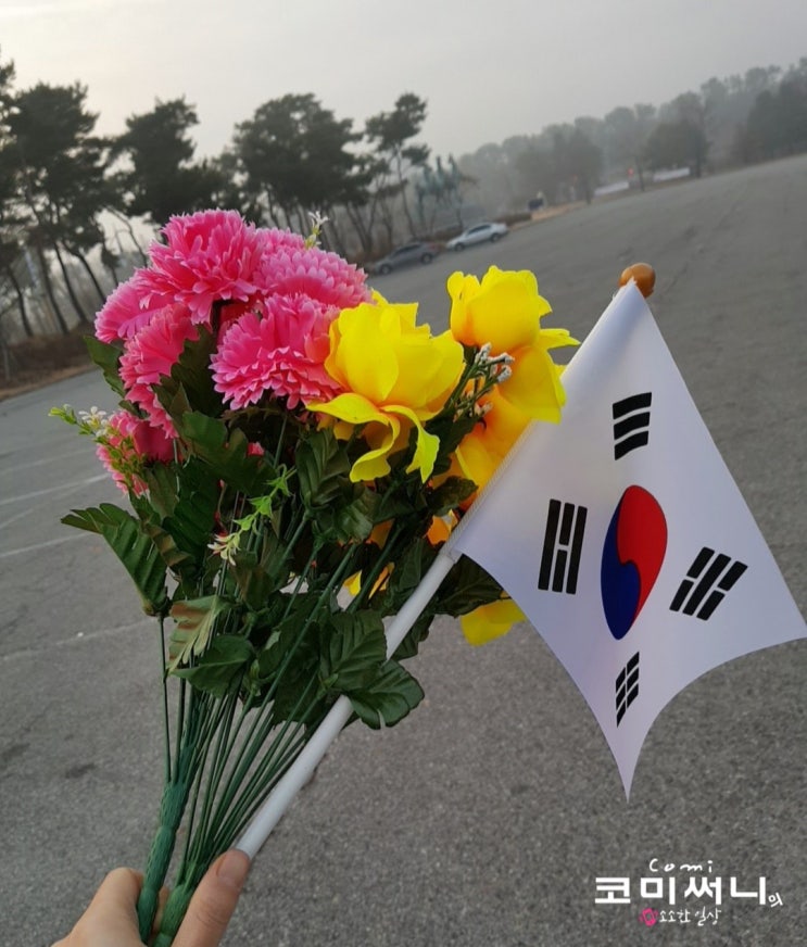 국립 대전 현충원 다녀오다 국립 대전 현충원 다녀오다
