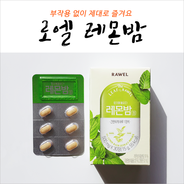  레몬밤 부작용 없이 제대로 즐겨요