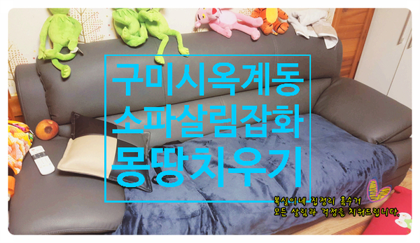  새해 복 많이 받으세요. 가전 가구 방문 폐기 수거 전문 원룸 빌라 아파트 살림 이사 이혼 살림 처분 빈집 유품 정리도 구미 김천 대구 대전 상주 칠곡 석적 왜관 갑니다.