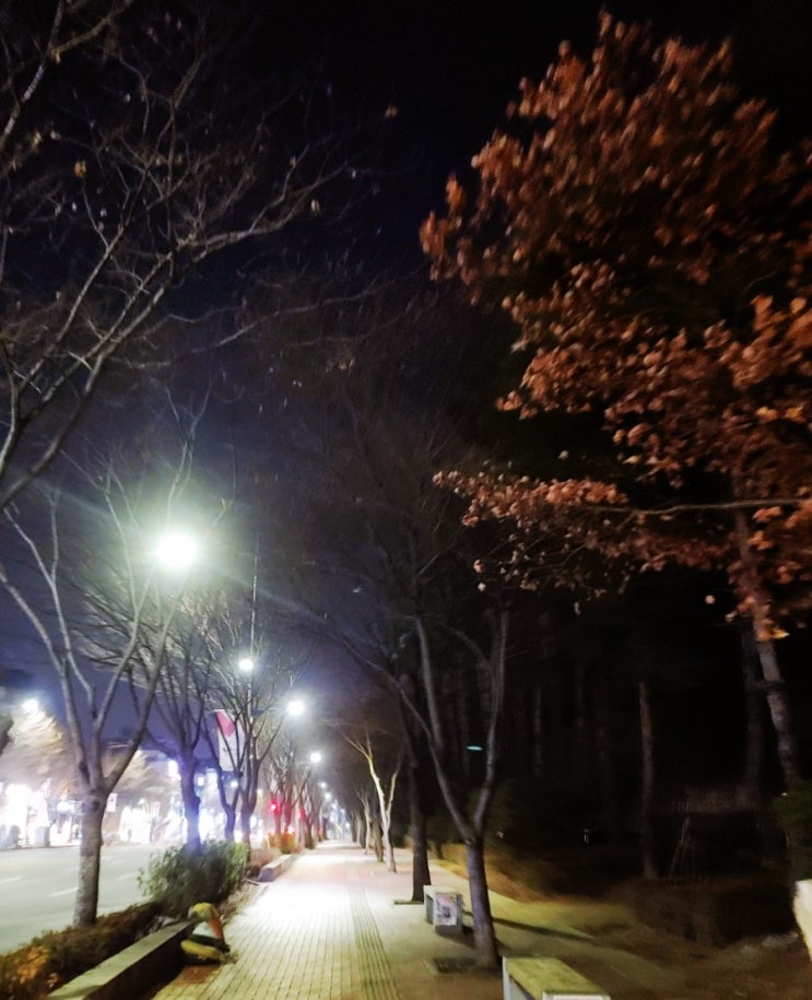  기록하는 이유