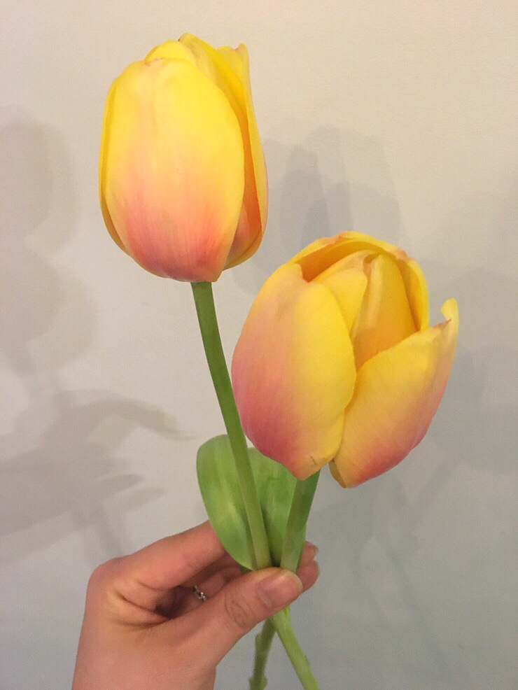  라넌에이미의 꽃힐링(66)망고튤립꽃말,망고튤립꽃다발