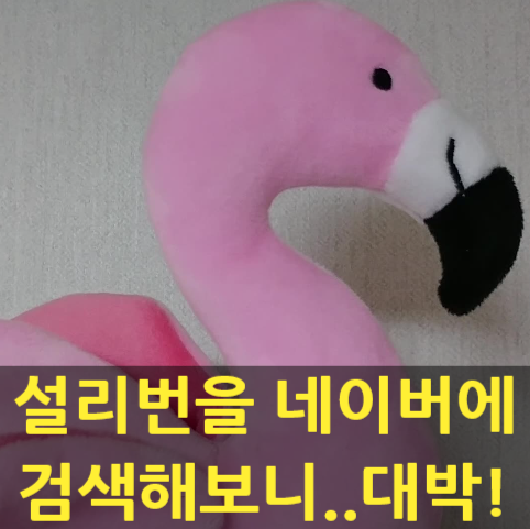  예쁜 웃긴 영어 닉네임 순한글 이름 추천(블로그 닉네임 유형 TOP6/설리번을 네이버에 검색하면?)