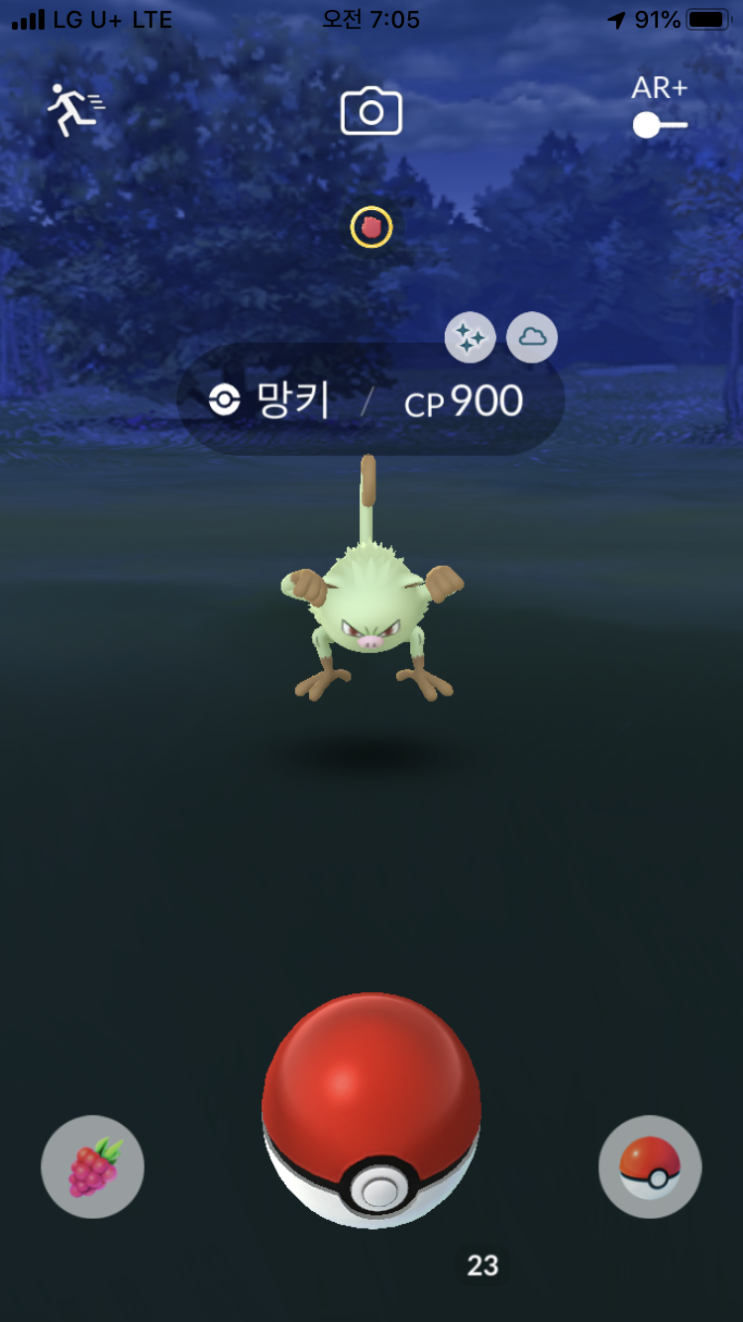  망키 이로치