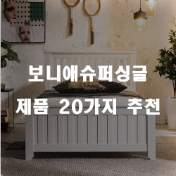 보니애슈퍼싱글