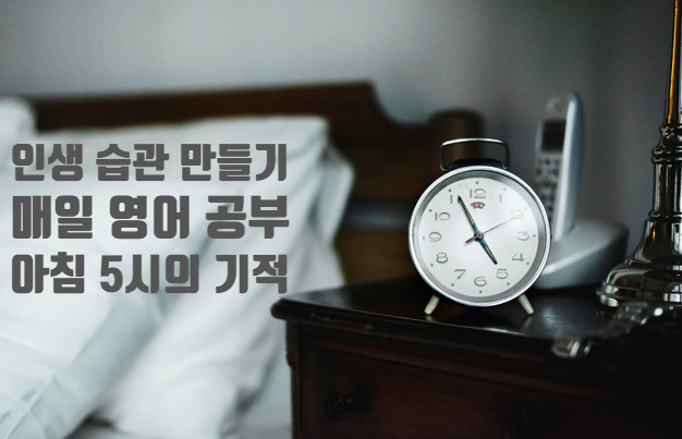 [Miracle 5] 영어 공부 #43 "문장의 구조"