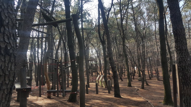  구덕 청소년수련관, 체험의숲 놀이터 (부산)