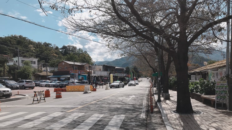  전라도와 경상도를 가로지르는 화합의 장, 하동 화개장터 나들이