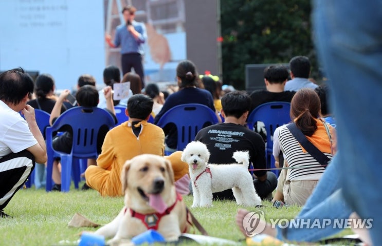 보험업계 반려동물 정체성 논란…재물인가 사람인가 보험업계 반려동물 정체성 논란…재물인가 사람인가