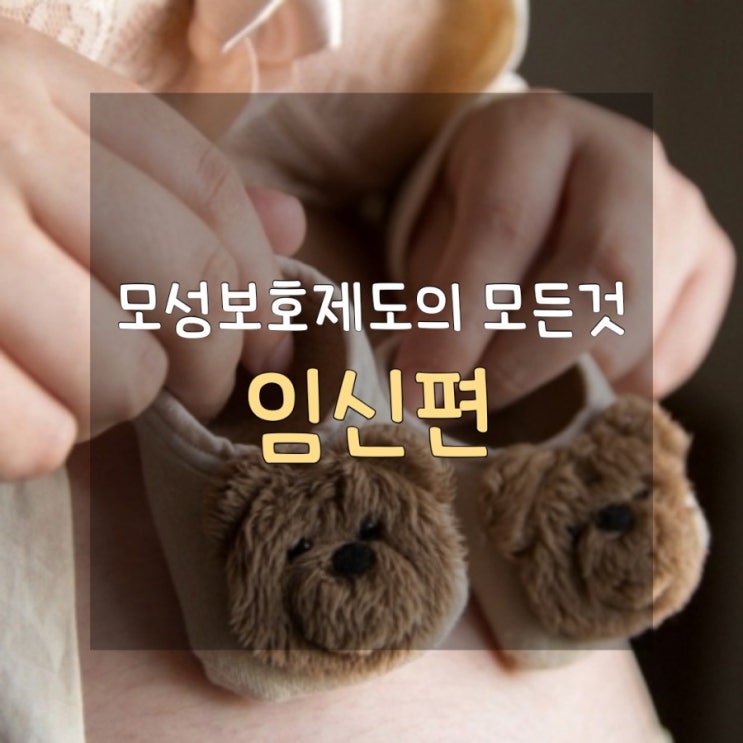  [예비맘/워킹맘들을 위한] 2020년도 모성보호제도의 완벽정리 Chapter 1. 임신