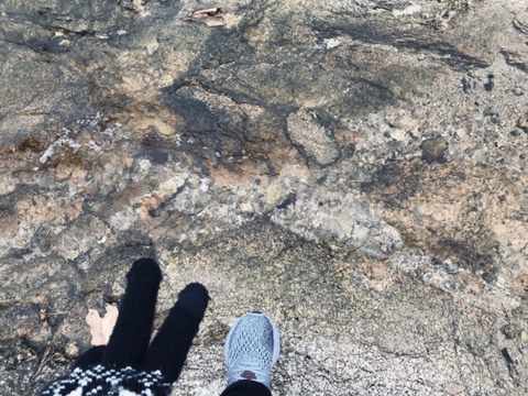 고즈넉한 도봉동 무수골 산책로 덕에 서울살이도 살만합니다 고즈넉한 도봉동 무수골 산책로 덕에 서울살이도 살만합니다