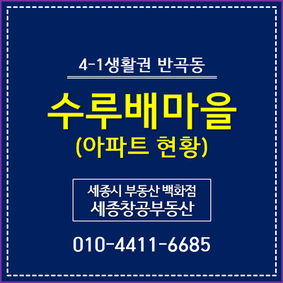  4-1생활권 반곡동, 수루배마을 아파트 일반 현황