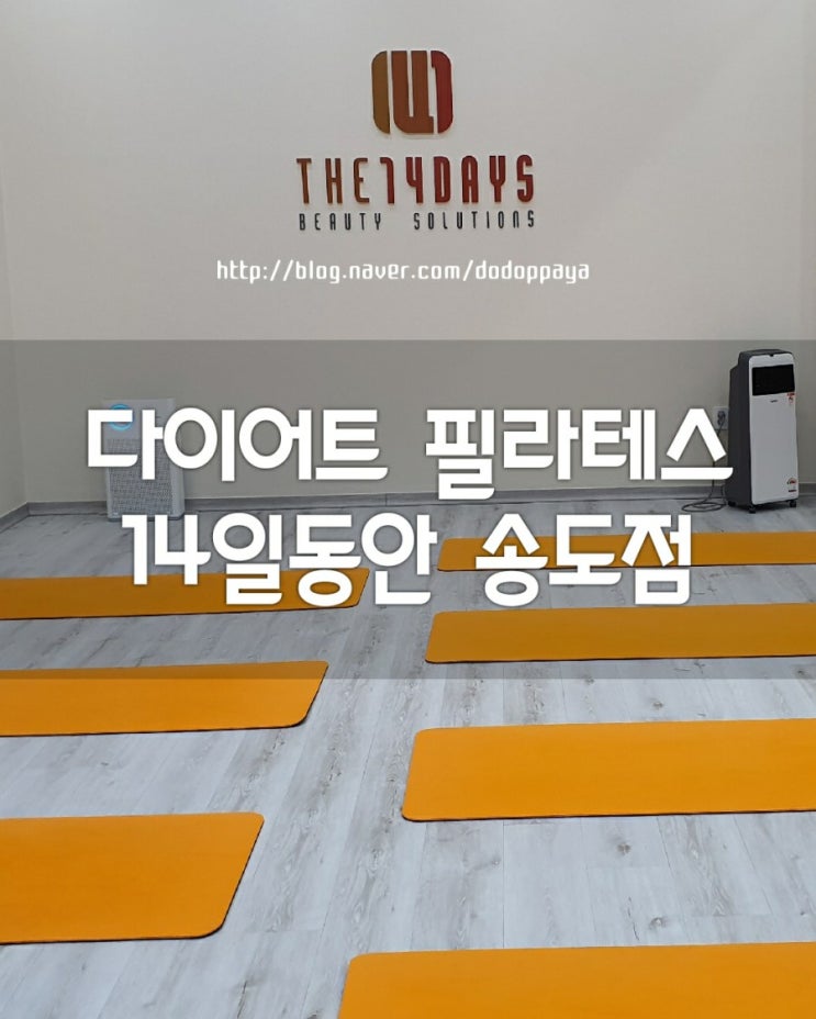  송도필라테스 14일동안송도점, 운동으로 건강하게 다이어트