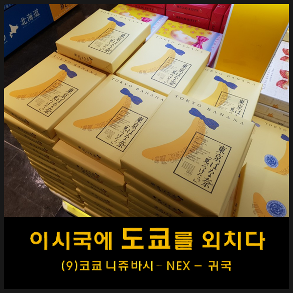  나홀로 도쿄 여행 - 9 [완결] ( 도쿄역에서 나리타공항 가는법 / 잇푸도라멘 / 코쿄 니쥬바시 / 도쿄바나나 / 퍼스트캐빈 교바시)