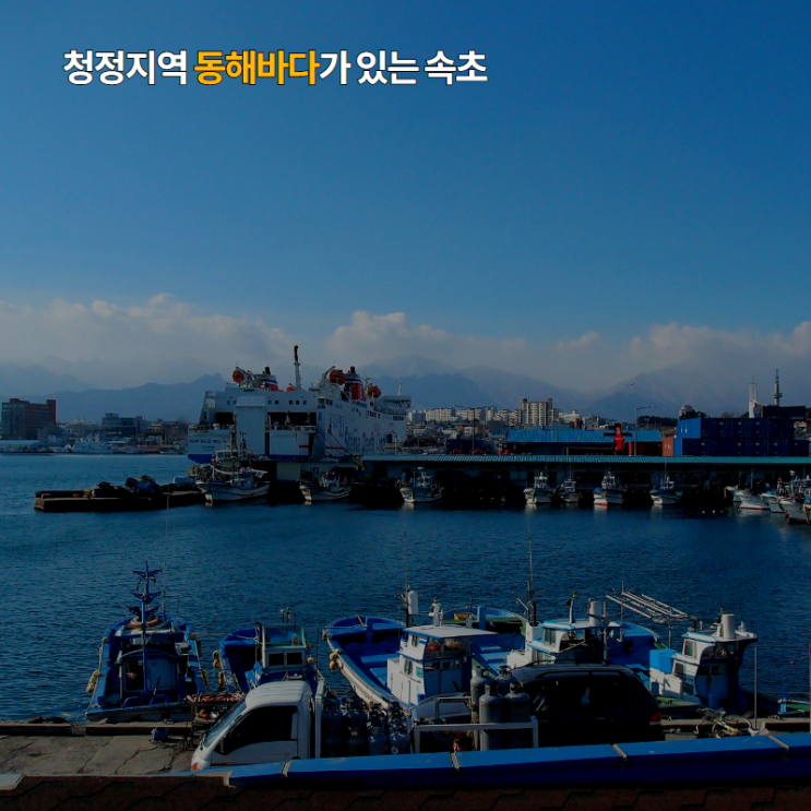  믿고 먹는 건강 젓갈, 속초 젓갈