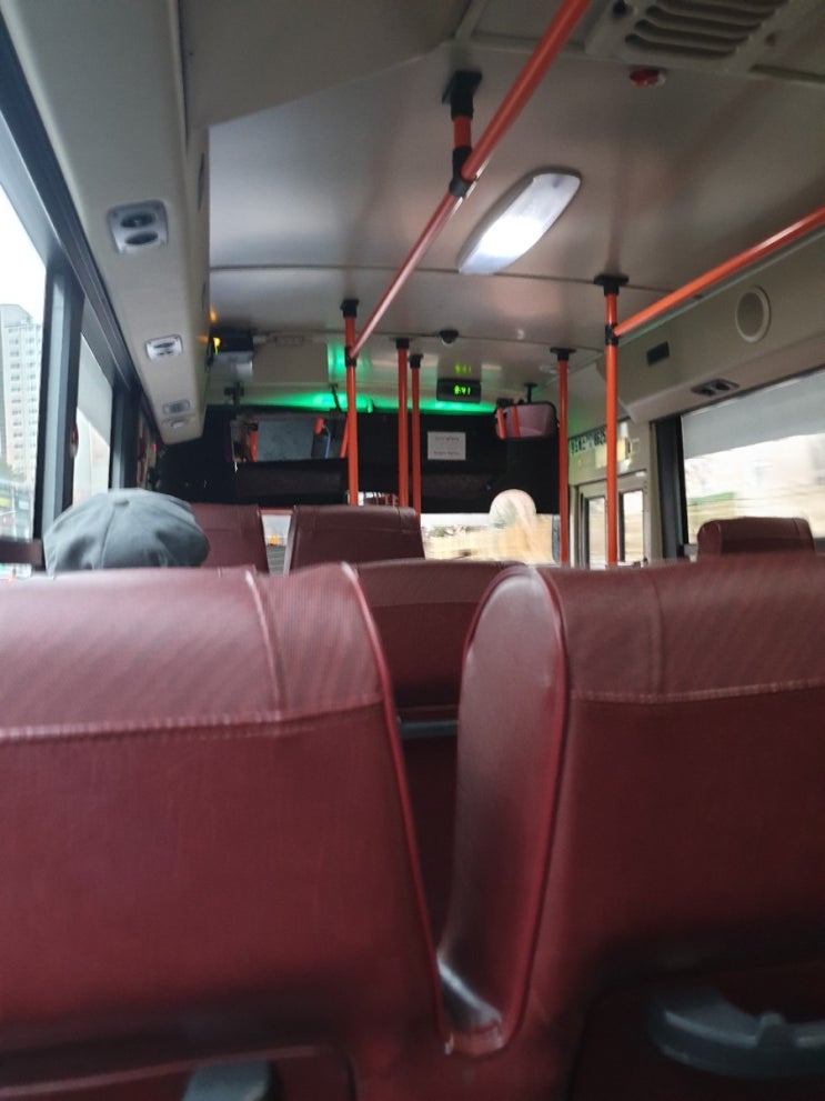 다시 일상으로