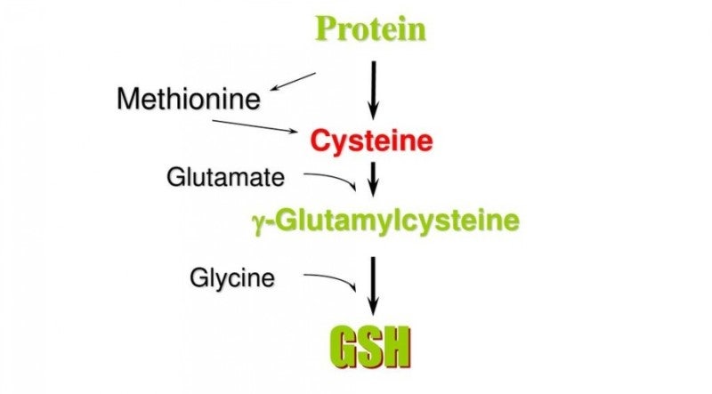 glutathione 효능 GHK-Cu Peptide Benefits (And a Few Risks) Explained main image 1