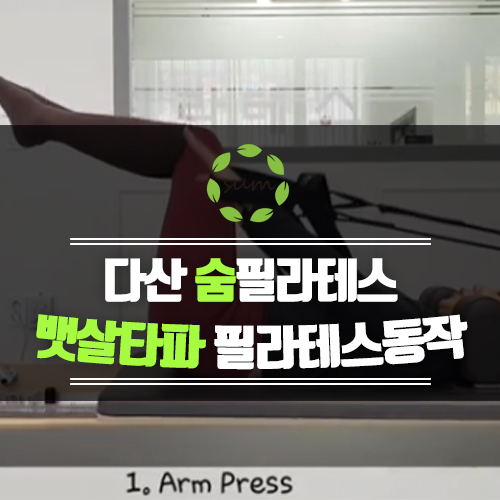  [다산필라테스/숨필라테스] 복부집중공략 리포머 변형동작 뱃살빼기
