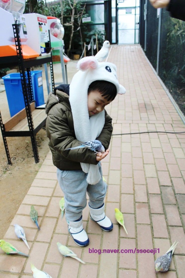  파주 퍼스트가든 눈썰매장 다녀왔어요