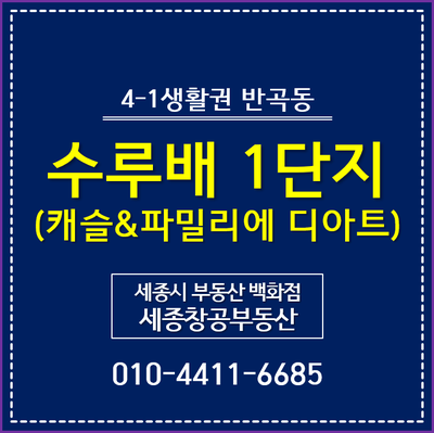  4-1생활권 반곡동, 수루배마을 1단지 - 캐슬&파밀리에 디아트 평면도, 분양가