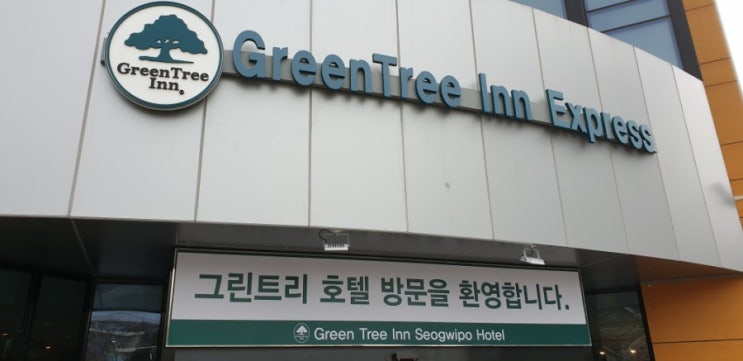  제주도가성비호텔, 서귀포호텔 ~ 그린트리인