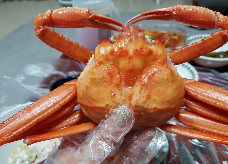  울산 대게 맛집 JJ수산 울산 대게 배달 박달 홍게