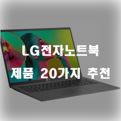 LG전자노트북