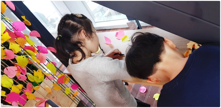  거제정글돔 (거제식물원) 관람후기 - 설날연휴 거가대교 통향료 면제 때문에 방문객이 엄청나네요