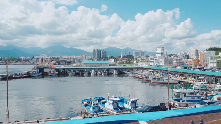  선선한 속초 시내 나들이 : 동명항, 칠성조선소, 청초호