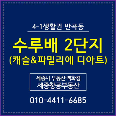  4-1생활권 반곡동, 수루배마을 2단지 - 캐슬&파밀리에 디아트 평면도, 분양가