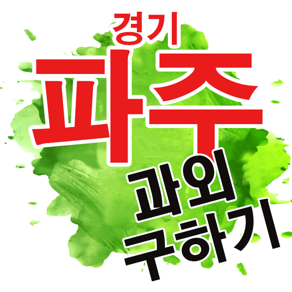  파주 중학생 수학과외 와동동 목동동 영어 기초 내신 중간고사 국어 전문 일대일 개인과외 해솔중 한가람중 지산중 산내중