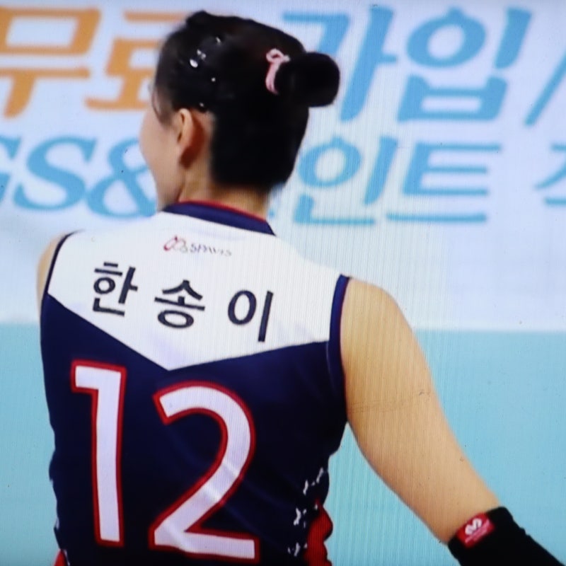배구선수 한송이 한유미 자매 이력 및 연인 조동혁과 결혼은 언제?