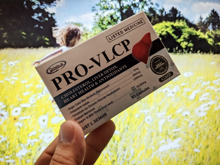 PRO-VLCP 간에 좋은 밀크씨슬 효능으로 간 건강 챙기기!