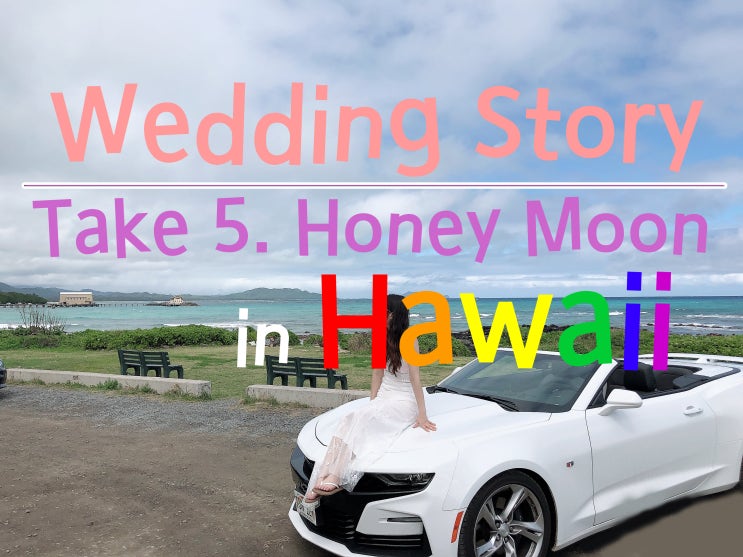 결혼준비Take5. 하와이신혼여행, 하와이구찌쇼핑 하와이구찌마몬트탑핸들미니, 하와이구찌가격, 하와이구찌수프림메신저백, 하와이맛집 키킨케이준, 월마트쇼핑, 와이키키무료주차몬사랏애비뉴