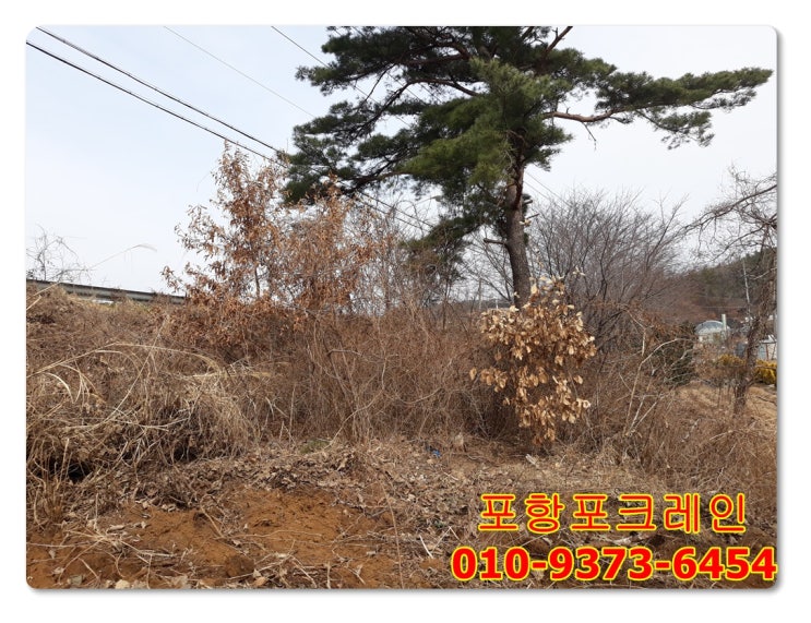  연일읍 자명리 전원주택지에 밭정리 다녀왔습니다.