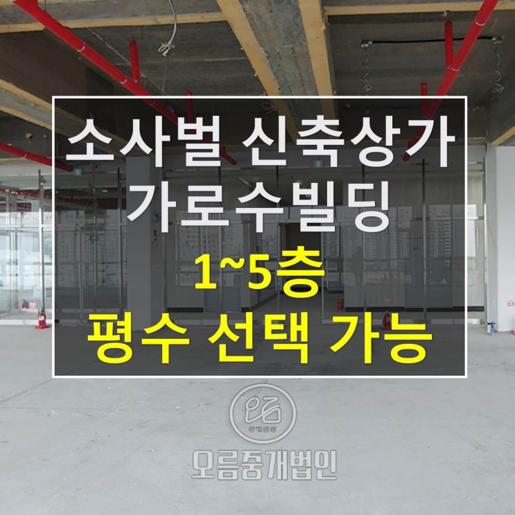  평택로데오, 센트럴돔 인근 소사벌신축상가임대안내