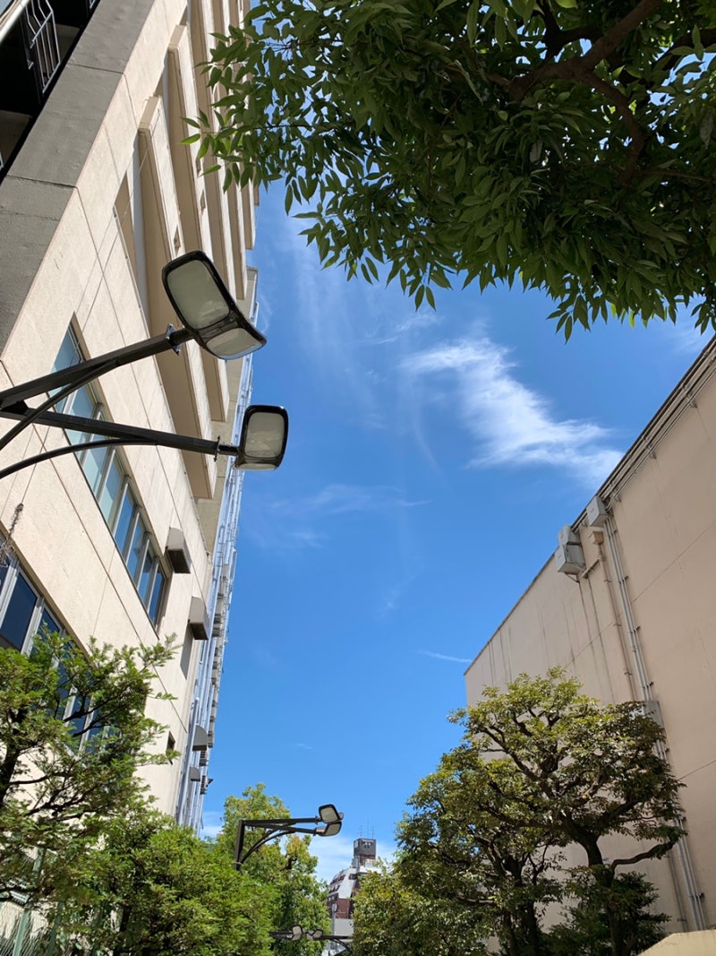 일본 도쿄 여행: 다케시타도리. 오모테산도. 신주쿠. 하라주쿠. 신주쿠 골든가이. 신주쿠 코인 캐비넷. 코인락커 : 네이버 블로그