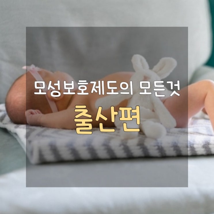  [예비맘/워킹맘들을 위한] 2020년도 모성보호제도의 완벽정리 Chapter 2. 출산