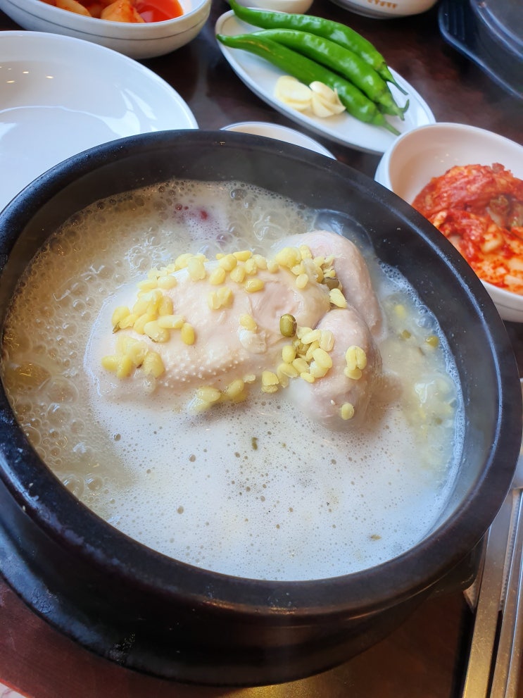  평촌 삼계탕 맛집! 엄마랑 기운 내러 천수한방삼계탕