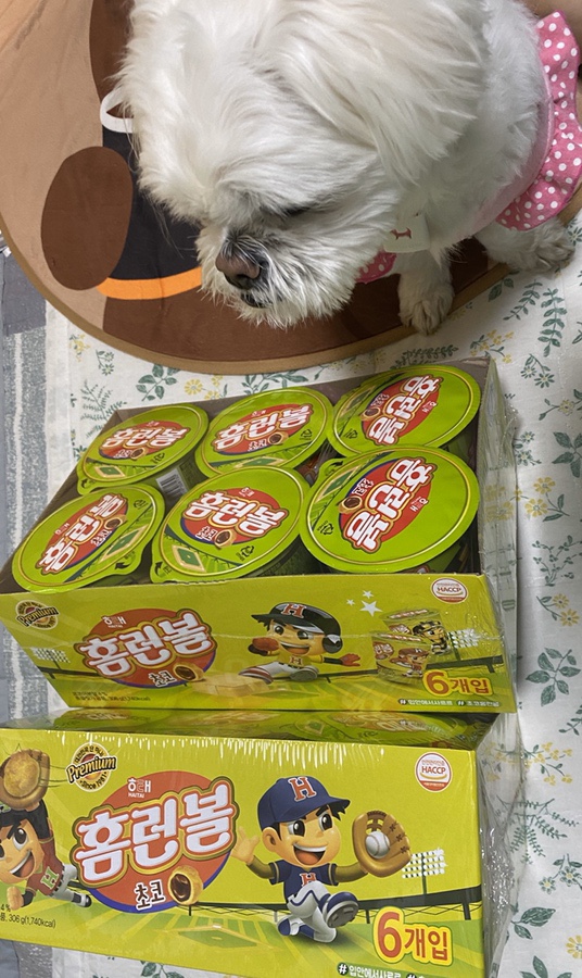 해태 홈런볼 초코는 얼려야 제 맛 해태 홈런볼 초코는 얼려야 제 맛