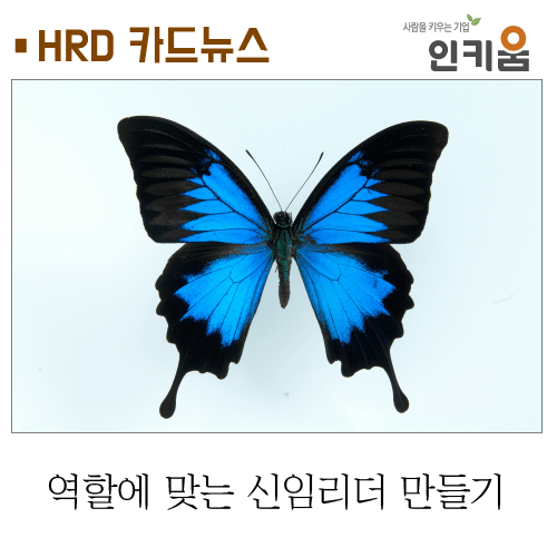  [카드뉴스] '피터의 원리'를 뛰어넘어라! 역할에 맞는 신임리더 만들기