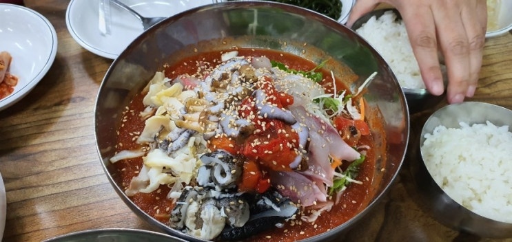  강원도 고성 선영이네 물회