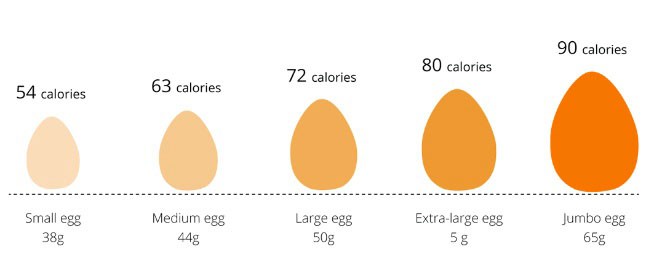달걀 칼로리 및 영양성분 - 삶은계란 다이어트 효과 및 요리레시피 : 네이버 블로그