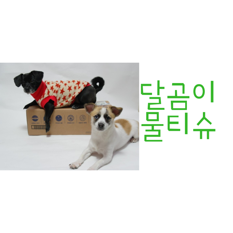 순하고 안전한 친환경 달곰이 물티슈. 도톰해서 쓰기 편해 순하고 안전한 친환경 달곰이 물티슈. 도톰해서 쓰기 편해