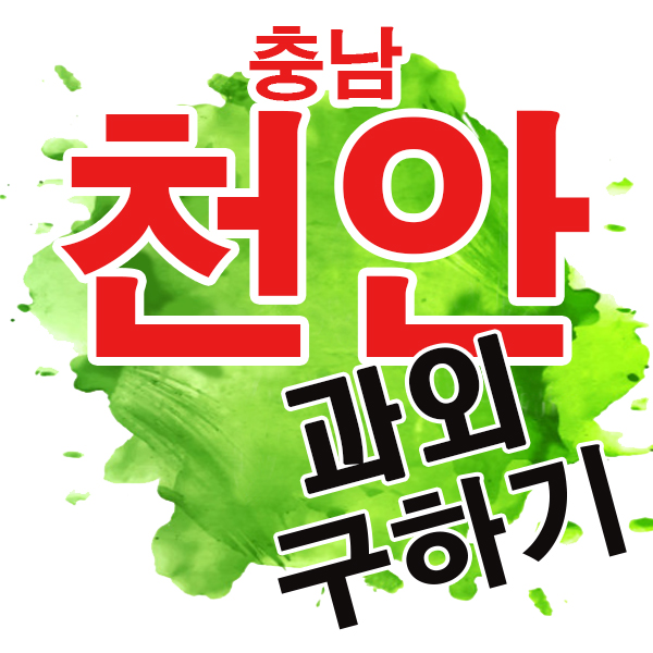 천안 초등학생 불당동 백석동 영어과외 국어 기초 수학 과학 한글 전문 일대일 개인과외 천안한들초 천안아름초 불당초
