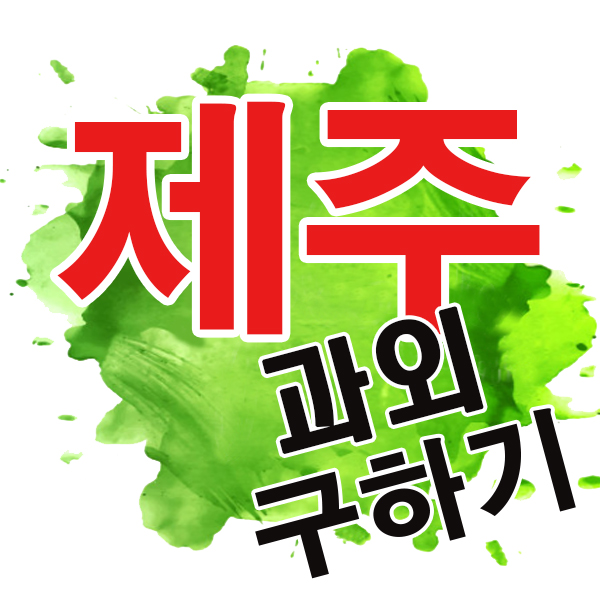  제주 중학생 노형동 연동 영어과외 수학 과학 내신 중간고사 일대일 전문 개인 기초과외 제주서중 한라중 제주중항중
