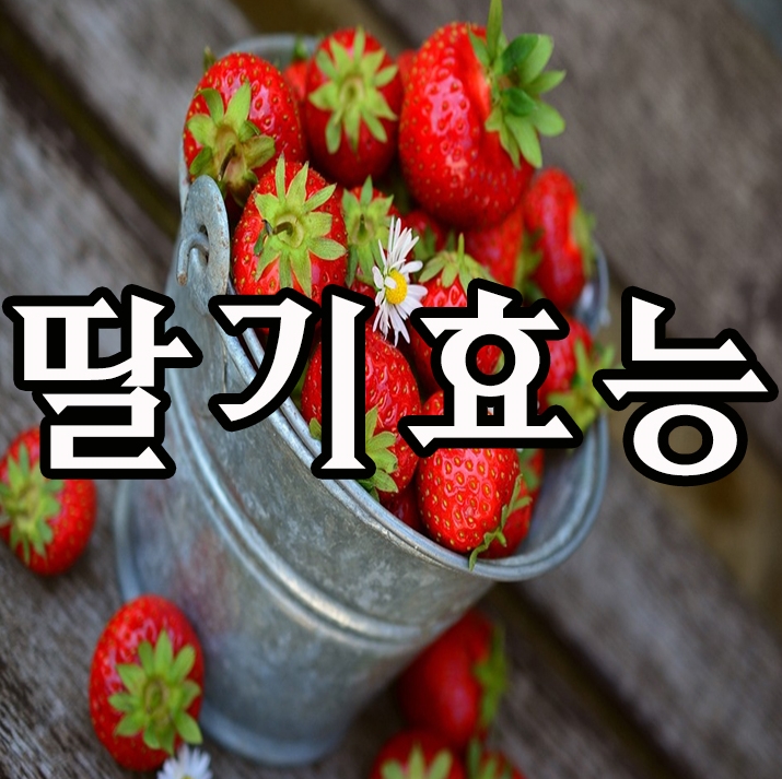  딸기 효능을 알고 나니 정말 놀랍네요