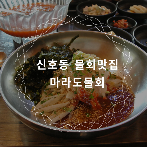 강서구 신호동 맛집 :: 마라도물회 / 부산 명지 물회맛집